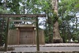 小俣神社（おばたじんじゃ）
