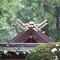 雨岩戸神社
