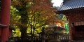 神社ヒーリング　紅葉の綺麗な神社 北口本宮富士浅間神社（山梨県） 